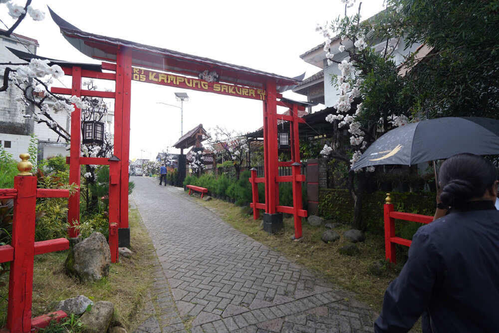 Mau Menikmati Suasana Jepang, Datanglah ke Kampung Sakura Desa Sidomulyo Kota Batu