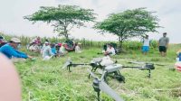 Penggunaan Drone ke Petani Gratis, Ini Penjelasan Dispertabun Kabupaten Kediri