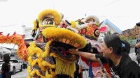50 Barongsai Beratraksi, Meriahkan Perayaan Imlek 2575