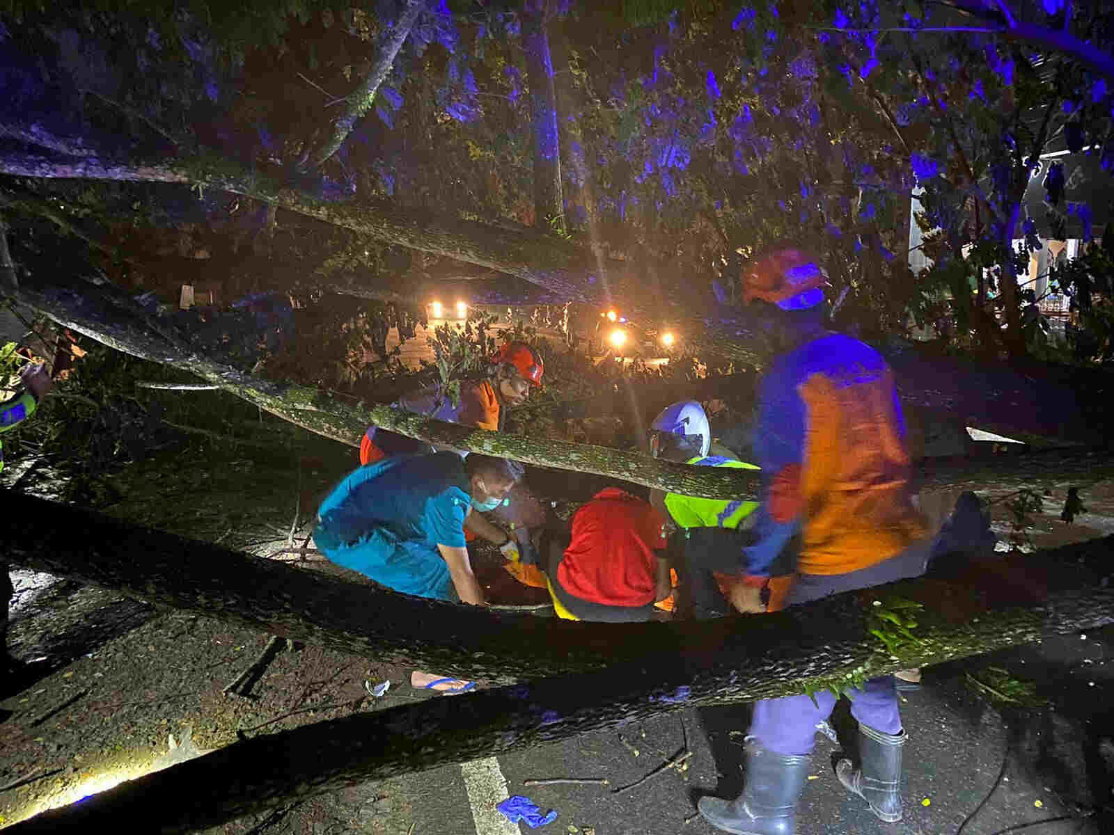 Pohon Tumbang Tewaskan Pemotor di Jalan Nasional Trenggalek