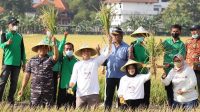 Strategi Pemkot Surabaya Dongkrak Produktivitas Pertanian Dalam Kota, Cara Disaat Harga Beras Mahal Rek…!