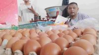 Pembeli Telur Nggrundel, Seminggu Harga Naik Tiga Kali, Ini Penyebabnya