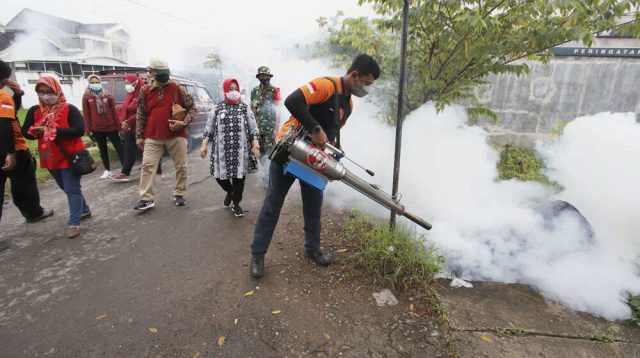 Kasus DBD Menjangkiti, Pasien Alami Pendarahan, Humas RSU Aisyiyah Ponorogo: Ini Datanya
