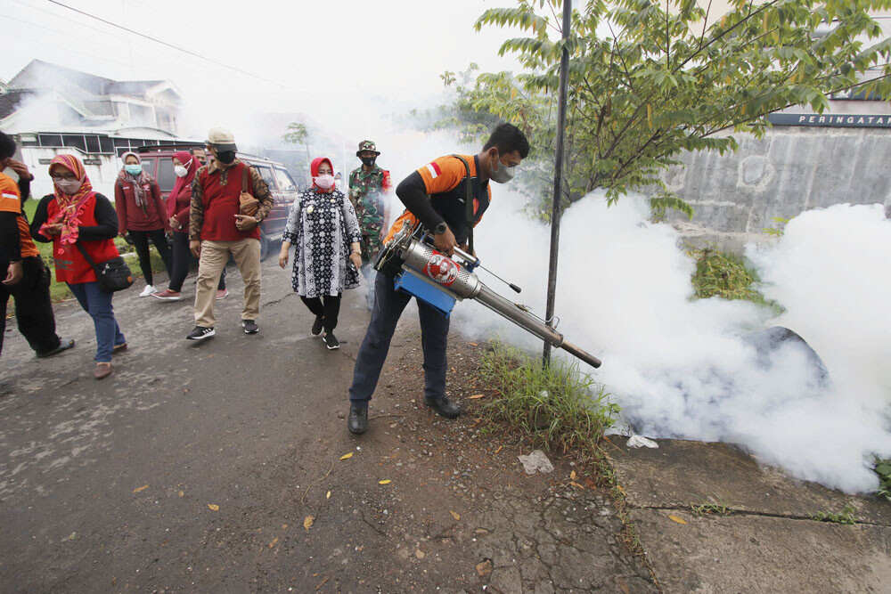 Kasus DBD Menjangkiti, Pasien Alami Pendarahan, Humas RSU Aisyiyah Ponorogo: Ini Datanya