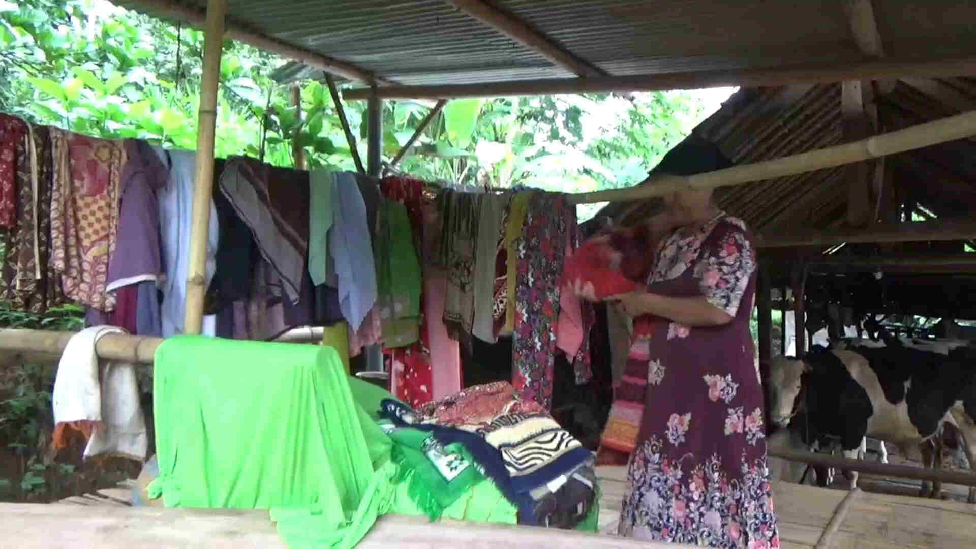 Terdampak Bencana Tanah Gerak di Wonosalam, Pasutri Rela Ngungsi di Kandang Sapi, Ini Yang Ditakutkan