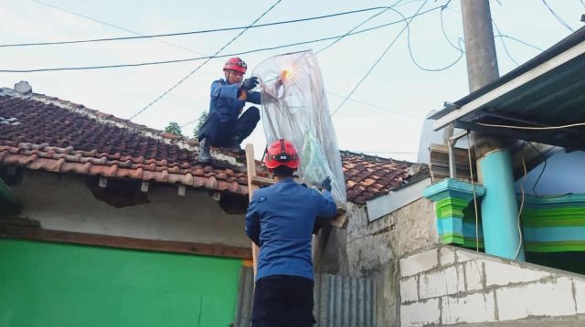 Balon Udara Nyaris Bakar Rumah di Kabupaten Trenggalek, Dievakuasi Tim Wisanggeni