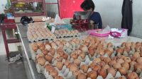 Harga Telur Tembus Rp 32 Ribu Per Kilogram, Ini Kata Pedagang Pasar Templek Kota Blitar