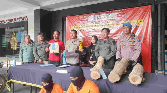 Curi Pohon Jati Milik Perhutani Tulungagung, Dua Orang Diringkus Polisi