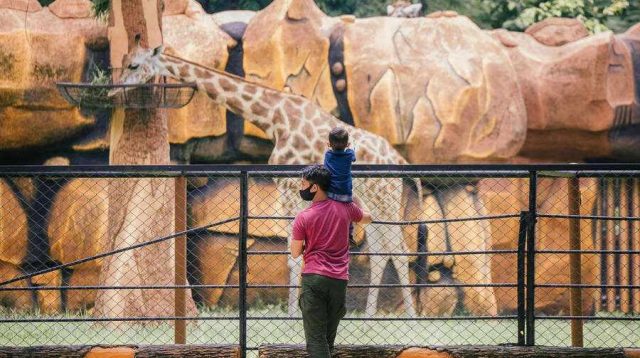 Libur Lebaran, KBS Siapkan Berbagai Atraksi dan Hiburan, Bantengan Khas Kediri Juga Tampil, Jangan Lewatkan…!