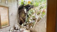 Data Terbaru Bencana Longsor, BPBD Trenggalek Catat 46 Rumah di 13 Desa Terdampak