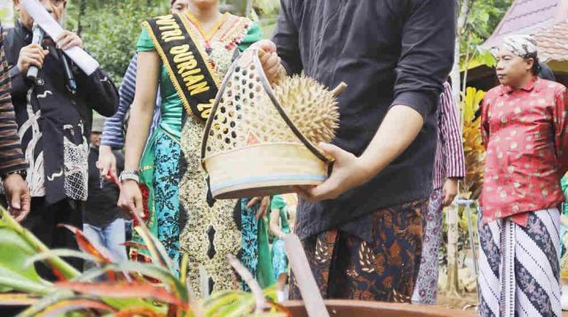 Menengok Falsafah Adat Metri di International Durio Festival Trenggalek, Bupati Trenggalek: Sarana Promosi juga Berbagi
