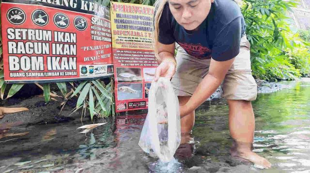 WWI Blitar, Komunitas Pegiat Peduli Kelestarian Ikan Sungai Tawar, Gencar Lepasliarkan Bibit, Lokasi Harus Dirahasiakan