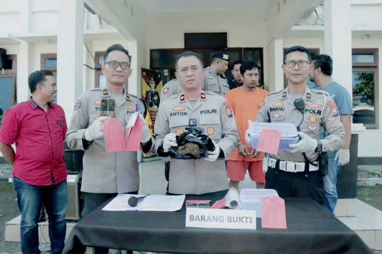 Pengedar 2 Kg Ganja Malang Dibekuk, Modus Sistem Ranjau