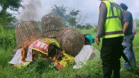 Arena Sabung Ayam Batu Digerebek, Barang Bukti Dibakar