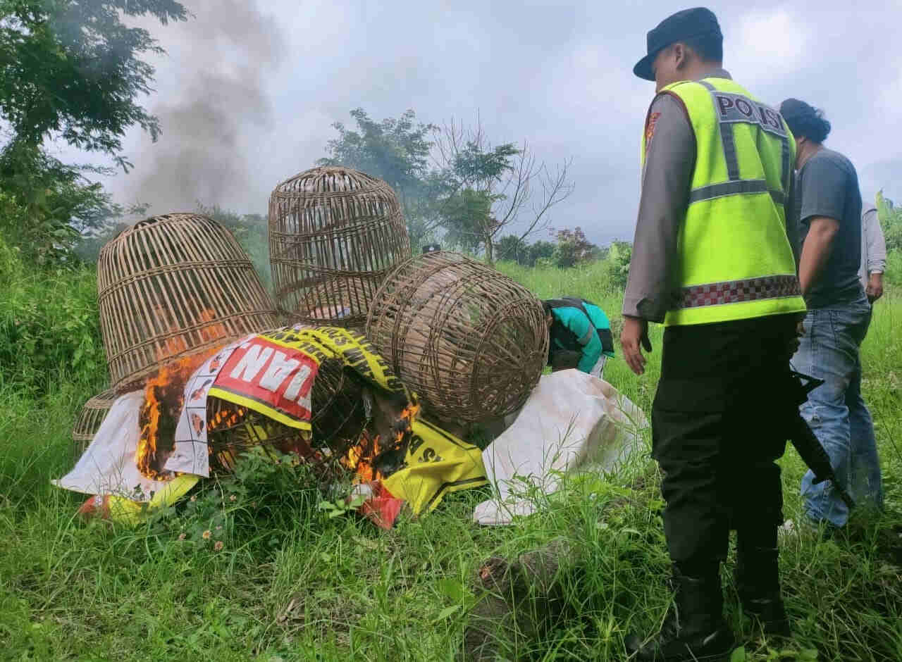 Arena Sabung Ayam Batu Digerebek, Barang Bukti Dibakar