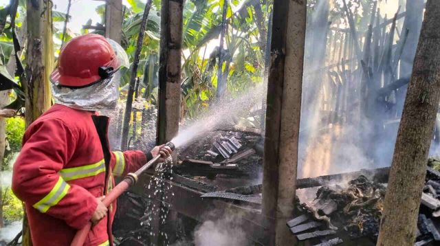 Nyalakan "Diang", Kandang Kambing di Ponorogo Terbakar