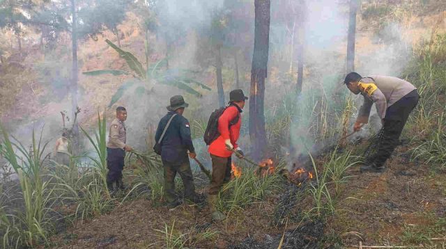 Daerah Rawan Kekeringan, Kepala BPBD Trenggalek: Warga Diimbau Bijak Gunakan Air