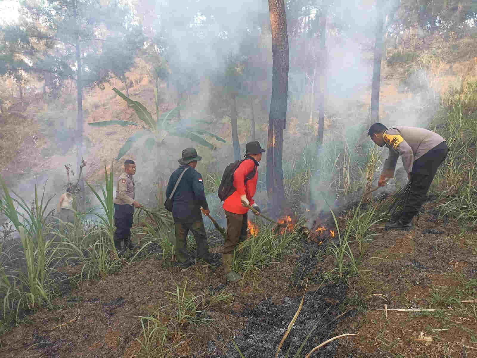 Daerah Rawan Kekeringan, Kepala BPBD Trenggalek: Warga Diimbau Bijak Gunakan Air