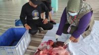 Jelang Idul Kurban, Aktif Berikan Pembinaan pada Jagal, ini Harapan Kepala DKPP Kota Blitar