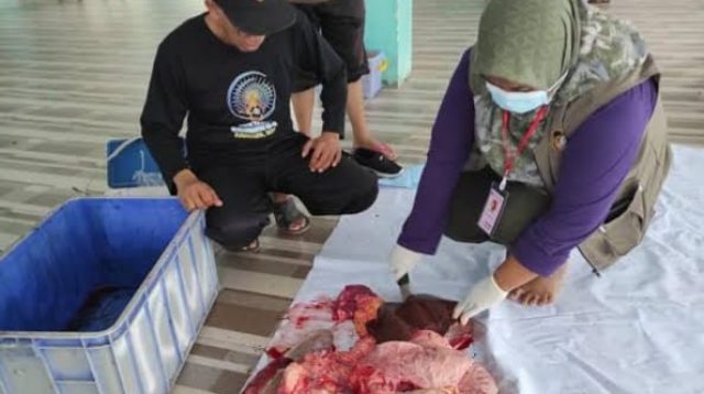 Jelang Idul Kurban, Aktif Berikan Pembinaan pada Jagal, ini Harapan Kepala DKPP Kota Blitar