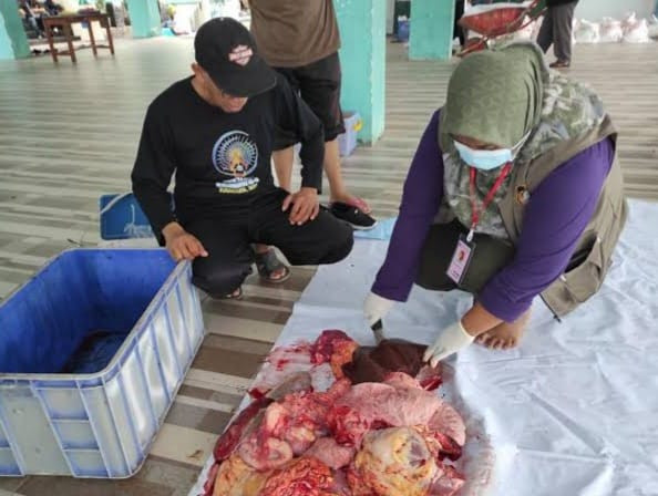 Jelang Idul Kurban, Aktif Berikan Pembinaan pada Jagal, ini Harapan Kepala DKPP Kota Blitar