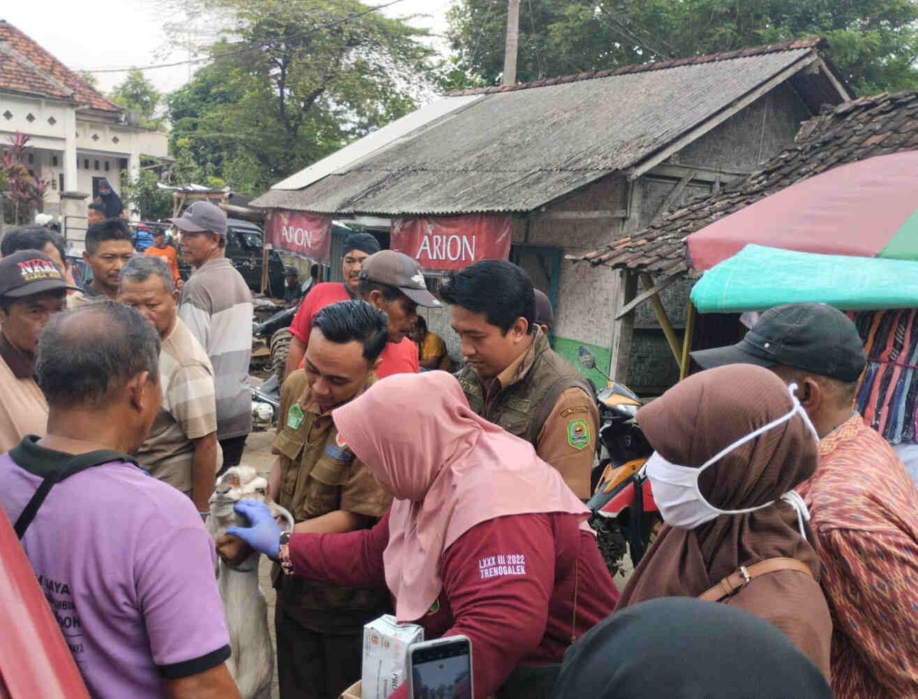 Kebutuhan Hewan Kurban Capai 3700 Ekor Lebih, Dinas Peternakan Trenggalek Pastikan Stok Masih Aman