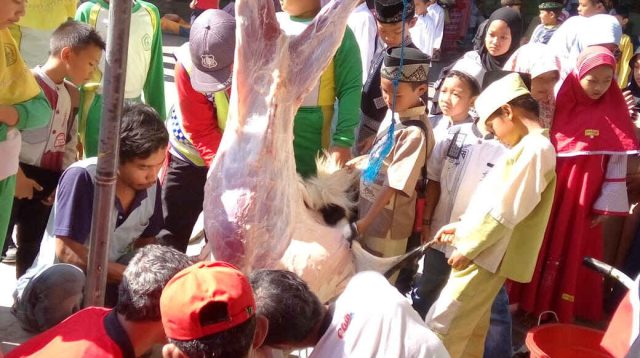 80 Persen Proses Penyembelihan Hewan di Jatim Tak Sesuai Syariat dan Tidak Halal, Benarkah? Berikut Tata Caranya