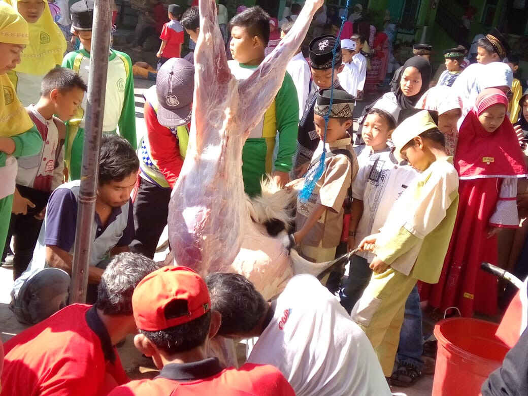 80 Persen Proses Penyembelihan Hewan di Jatim Tak Sesuai Syariat dan Tidak Halal, Benarkah? Berikut Tata Caranya