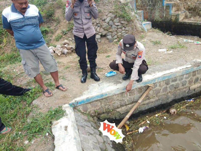 Warga Blitar Geger…!, Hendak Mancing Temukan Mayat Bayi di Sungai, Pelakunya Sedang Dilacak Polisi