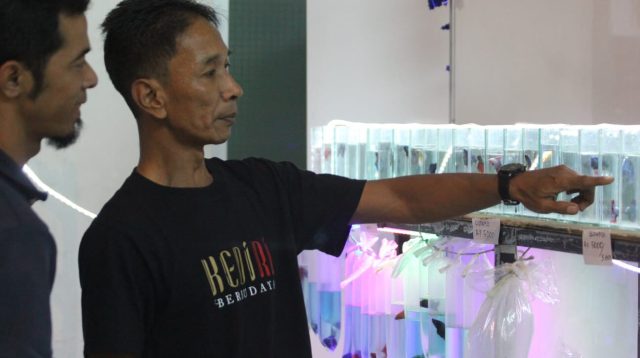 500 Peserta Mengikuti Kontes Ikan di Kediri Aquatic, Kalangan Milenial Diharapkan Ikut Berperan