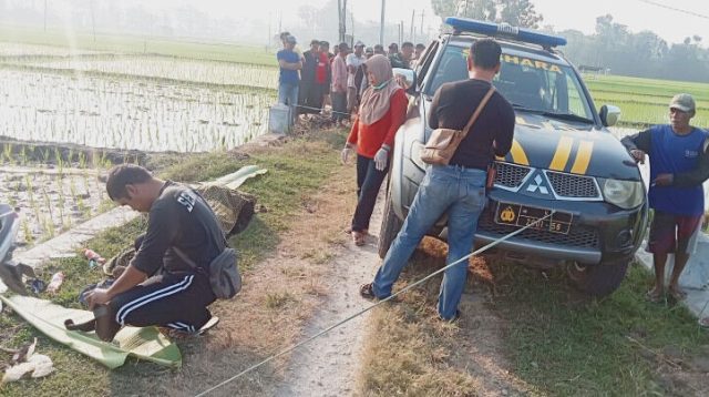 Gagal Menikah, Warga Gelanglor Ponorogo Tenggak Pestisida dan Potas