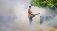 DBD Menjangkit 437 Pasien di Kota Madiun, Dinas Kesehatan, Pengendalian Penduduk dan Keluarga Bencana Lakukan Ini