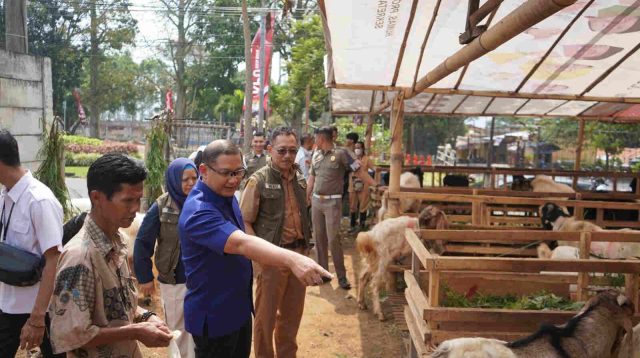 Mobilitas Hewan Kurban Diawasi, Pj Wali Kota Batu: Layak Konsumsi Diberi Label