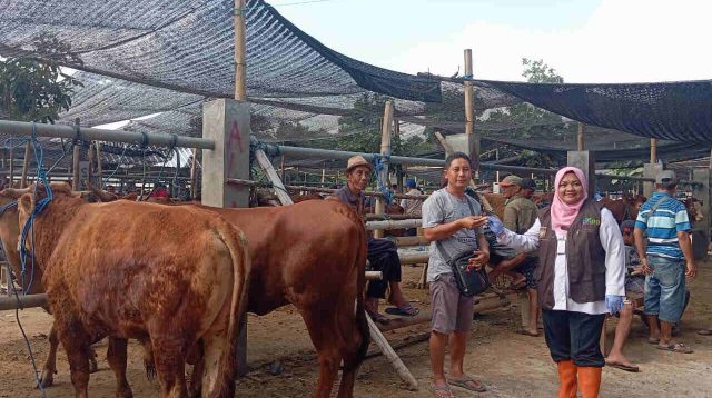 Pantau Daging Kurban DKPP Kota Blitar Terjunkan 60 Personel, Panitia Diimbau Gunakan Besek atau Daun Jati, Ini Tujuannya