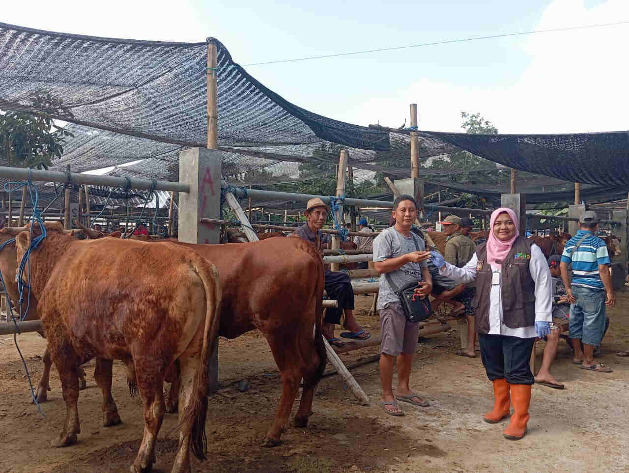 Pantau Daging Kurban DKPP Kota Blitar Terjunkan 60 Personel, Panitia Diimbau Gunakan Besek atau Daun Jati, Ini Tujuannya