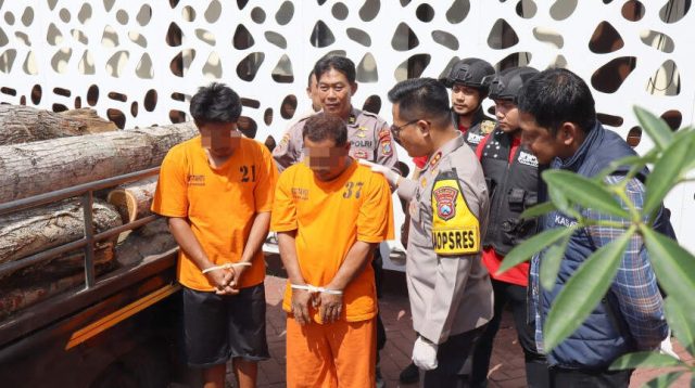 Dua Blandong Kayu Ditangkap, Satreskrim Polres Trenggalek Amankan Enam Belas Batang Akasia