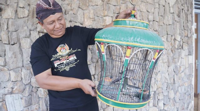 Kisah Nurfiat, Koleksi Perkutut Lokal Tulungagung, Burung Mistis dengan Harga Fantastis Jadi Daya Tarik