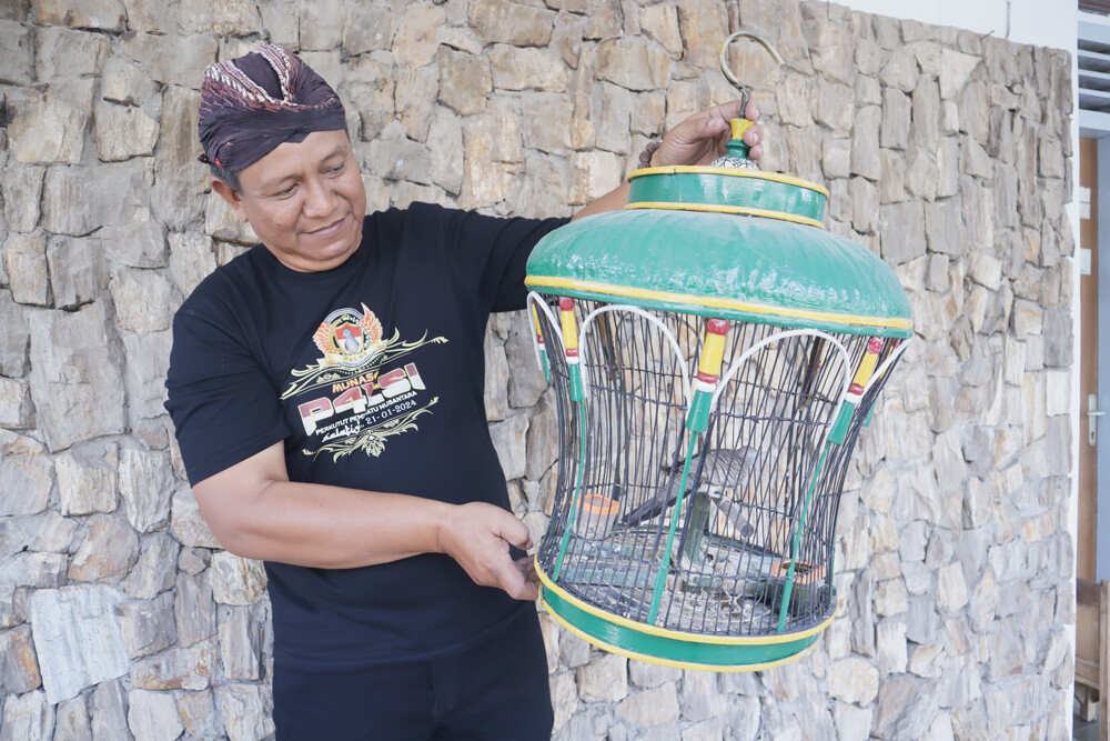 Kisah Nurfiat, Koleksi Perkutut Lokal Tulungagung, Burung Mistis dengan Harga Fantastis Jadi Daya Tarik