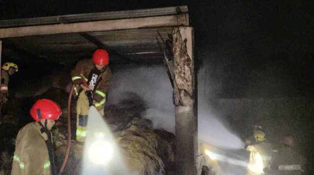Buat Perapian, Kandang Sapi di Kediri Terbakar