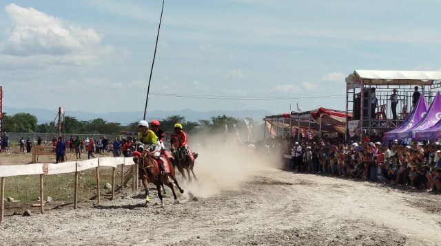 Pacuan Kuda Piala Eyang Katong Cup ke X, Rangkaian Grebeg Suro Kabupaten Ponorogo, Diikuti Ratusan Kuda di Jawa Timur