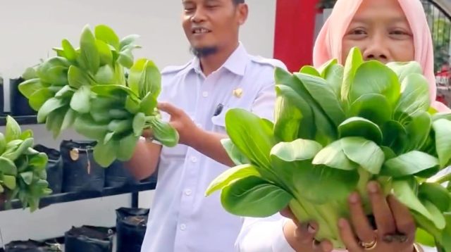 Manfaatkan Lahan untuk Polybag, DKPP Kota Blitar: Banyak Untungnya untuk Wanita Tani