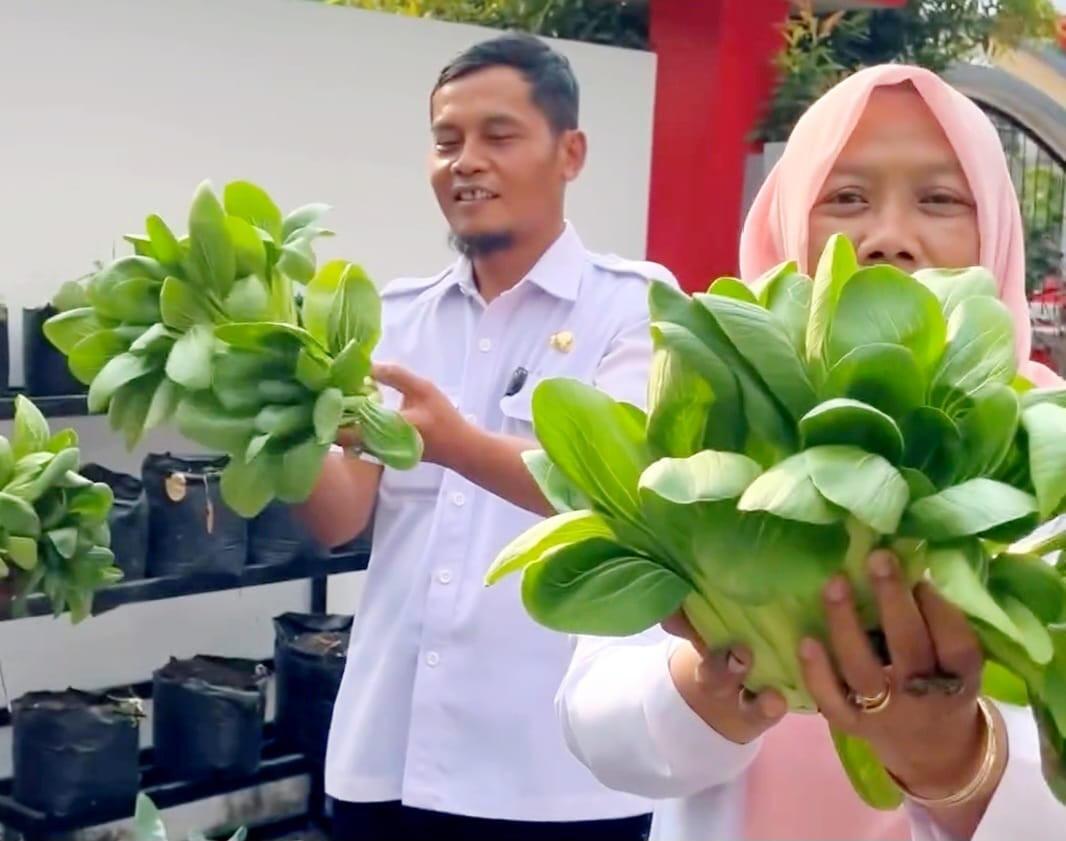 Manfaatkan Lahan untuk Polybag, DKPP Kota Blitar: Banyak Untungnya untuk Wanita Tani