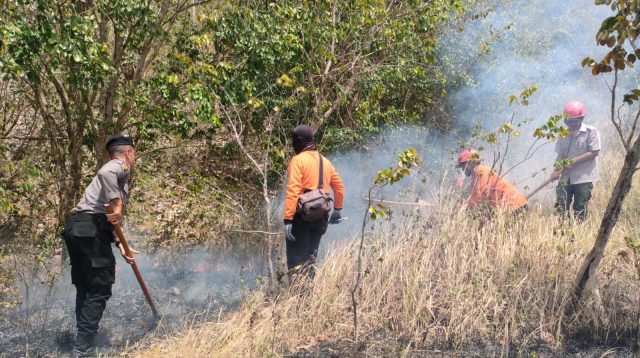 Gunung Orak-arik, Trenggalek, Terbakar, Hanguskan, Lahan Sengon, Akasia