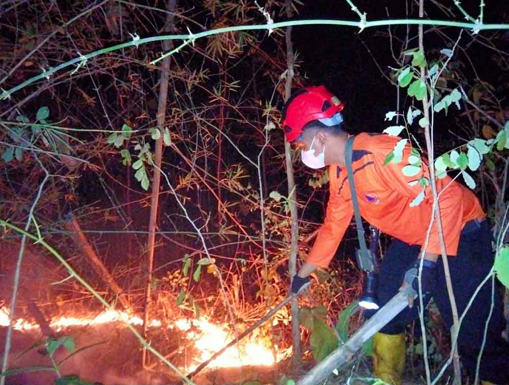 Waspadai Potensi Karhutla di Puncak Musim Kemarau, Berikut Pesan BPBD Trenggalek