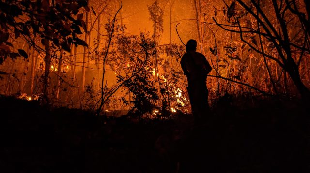 Tujuh hektar hutan jati di kawasan Gunung Gombak Ponorogo terbakar. Api yang terus mluas akibat terpaan angin kencang mengancam permukiman