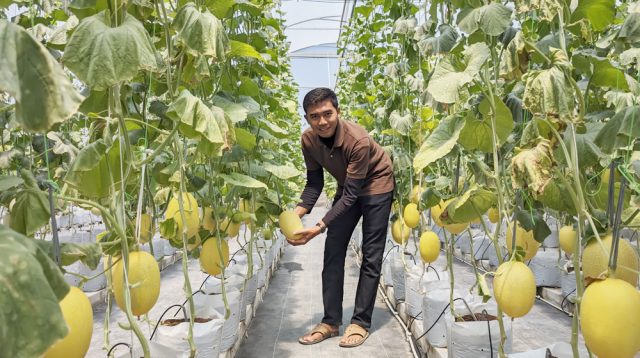 Fiska Indra Pratama, Petani Milenial, Berjuang Keras Kembangkan Melon “Asing” Lewat Hidroponik
