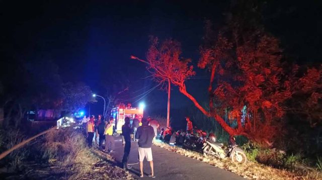 Lahan Tebu di Kota Kediri Terbakar, Belum Diketahui Penyebabnya