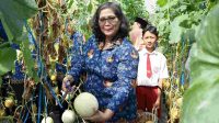 Peringati Hari Anak, Pj Walikota Zanariah Petik Melon Bersama Pelajar di Kampung Tani