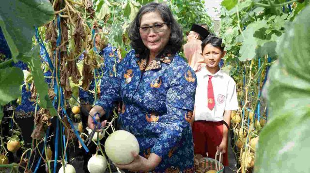 Peringati Hari Anak, Pj Walikota Zanariah Petik Melon Bersama Pelajar di Kampung Tani