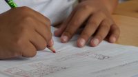 20 Prediksi Soal UTS IPA Kelas 7 Semester 1 Kurikulum Merdeka Bab Energi dalam Sistem Kehidupan, Serta Jawabannya